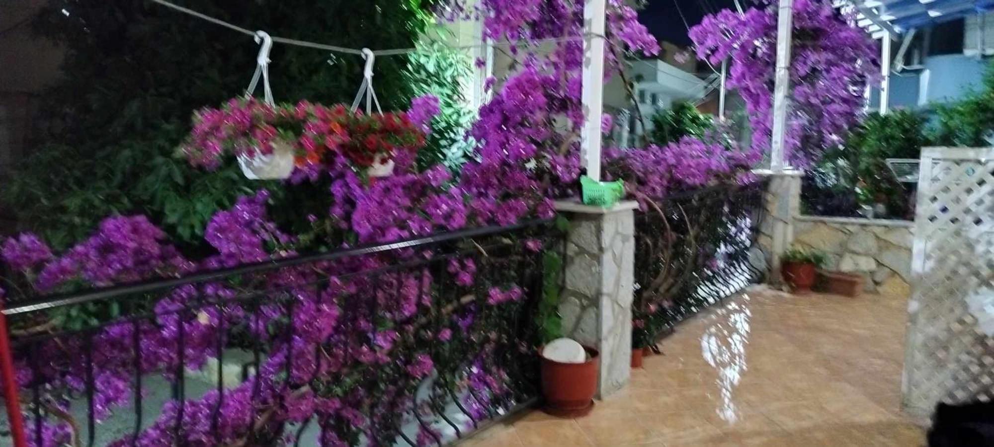 Elena Apartament Sarandë 外观 照片